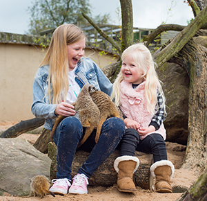 Image shows two girls with meerkats on their knees at Peak Wildlife Park, Staffordshire